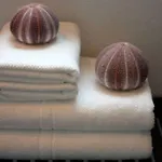 Horta D'en Rahola - Adults Only Отель 4*